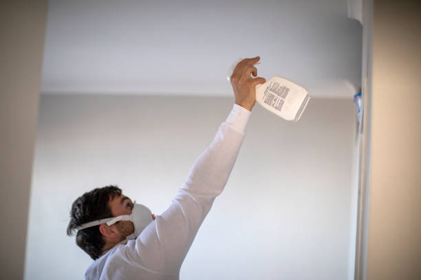 Reliable Monterey, CA Mold Remediation Solutions