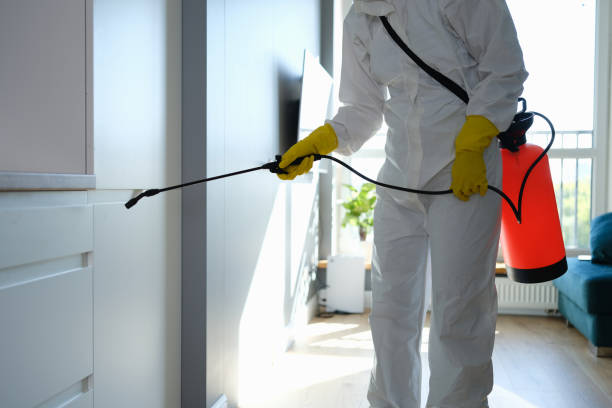 Best DIY Mold Remediation Support Services in Monterey, CA
